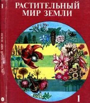 Гаральд Мюллер - Растительный мир Земли. Т.1