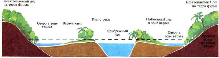 Поперечный разрез долины беловодной реки Для затапливаемой части поймы очень - фото 180