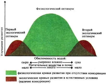 Схематическое изображение физиологической и экологических кривых развития сосны - фото 64