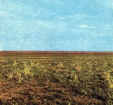 Щебнистая гравийная полупустыня на востоке Гоби покрытая травянистыми - фото 26