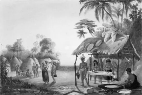 Вату Тикаба Деревня Вапизиана 1841 Charles Bantley Вкус довольното - фото 25