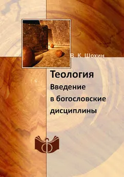 Владимир Шохин - Теология. Введение в богословские дисциплины