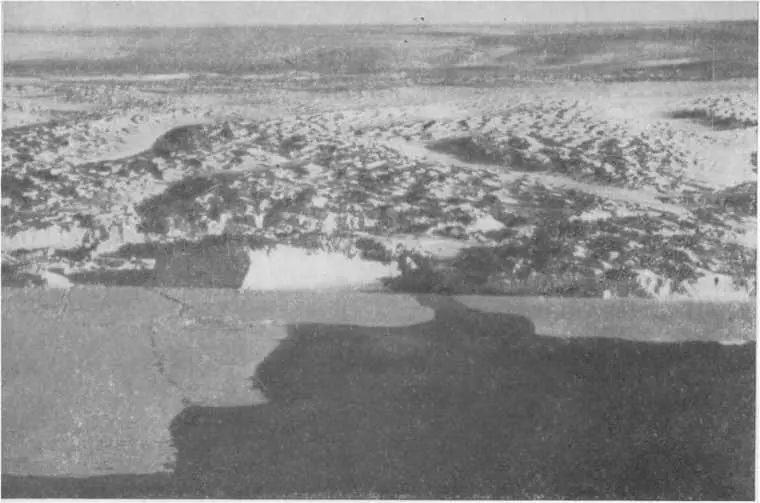 Ледник Хелен стекающий в море Дейвиса к востоку от Мирного Станция - фото 34