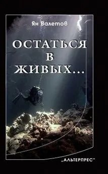 Ян Валетов - Остаться в живых…