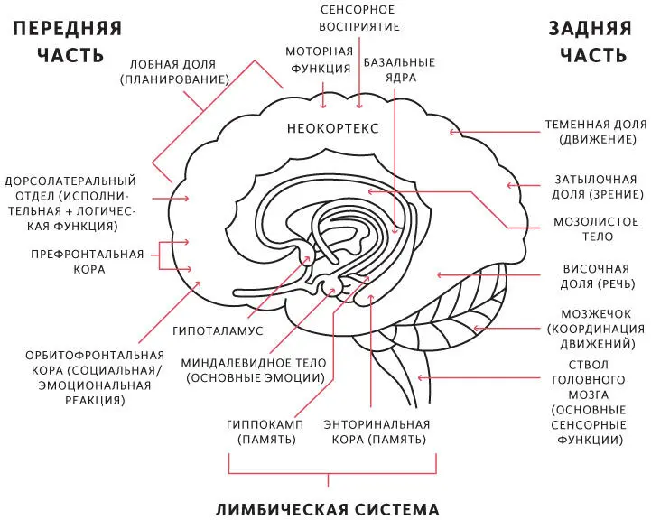 42 Осмысленные работа и отношения это не только выбор человека это - фото 18