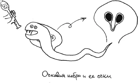 Но есть один вопрос который я очень люблю вертеть в голове Знает ли кобра - фото 18
