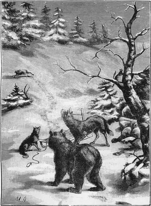 Косой помчался к лесу Настала очередь лисицы лиса была меньше медведя и - фото 4