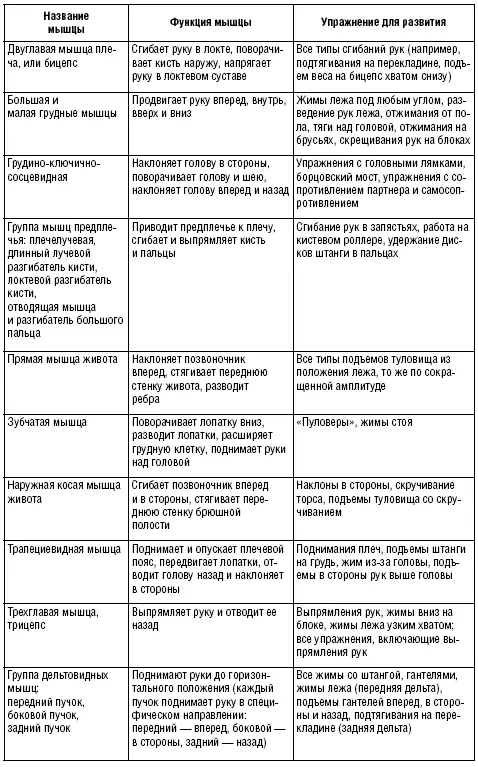 Стандартный набор атлетических снарядов фирмы Бейдера Глава 8 Система Джо - фото 30