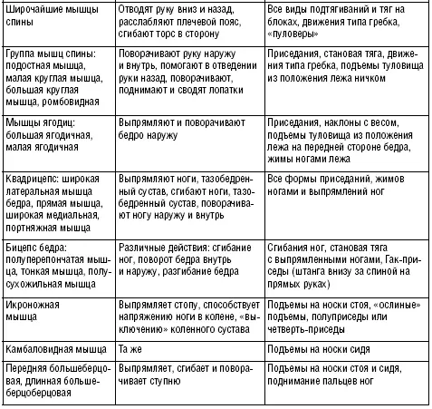 Стандартный набор атлетических снарядов фирмы Бейдера Глава 8 Система Джо - фото 31