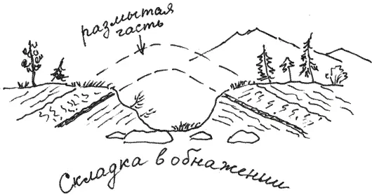 Если складка выпуклая как в нашем случае продолжал объяснять старший - фото 46