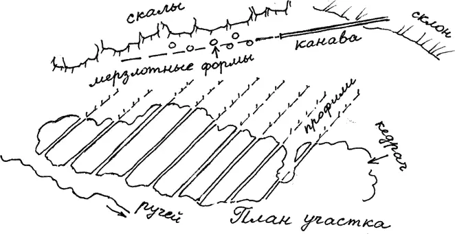 Специальных колышков у них не было и Димка через каждые десять метров - фото 71