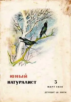 Журнал Юный натуралист №3, 1938