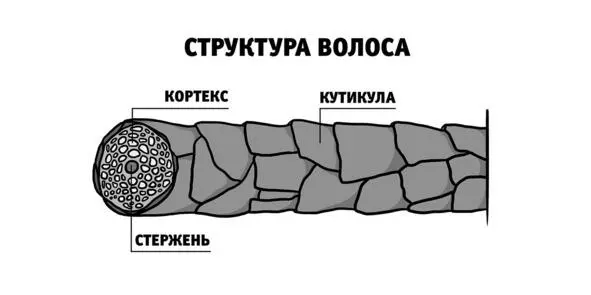 И это те самые чешуйки которые активно используются в рекламе в разговорах о - фото 15
