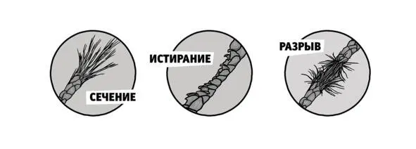 Рассмотрим алгоритм на примере секущихся концов когда волос на кончике - фото 17