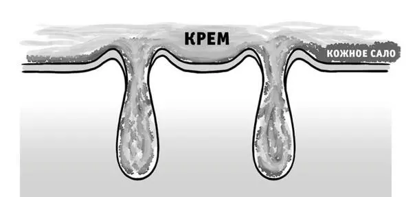 Внутри поры с кремом смешивались бы продукты жизнедеятельности кожное сало К - фото 9