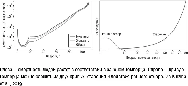 Сам Гомперц в своей работе ничего не говорил о минимуме риска и золотом - фото 7