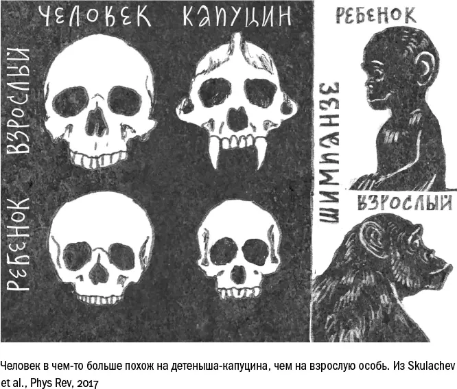 И это неспроста когда мы начинаем перечислять условия необходимые для долгой - фото 19