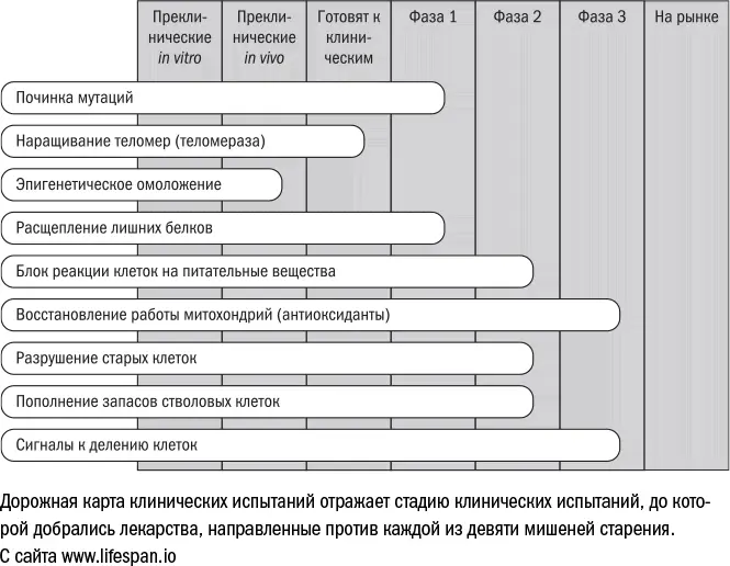 В то же время важно помнить что клинические испытания препарата не гарантируют - фото 25