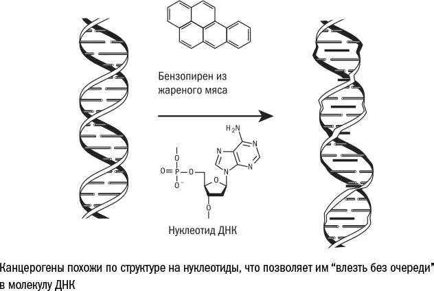 3 Радиация Это поток частиц энергия которых достаточно высока чтобы - фото 29