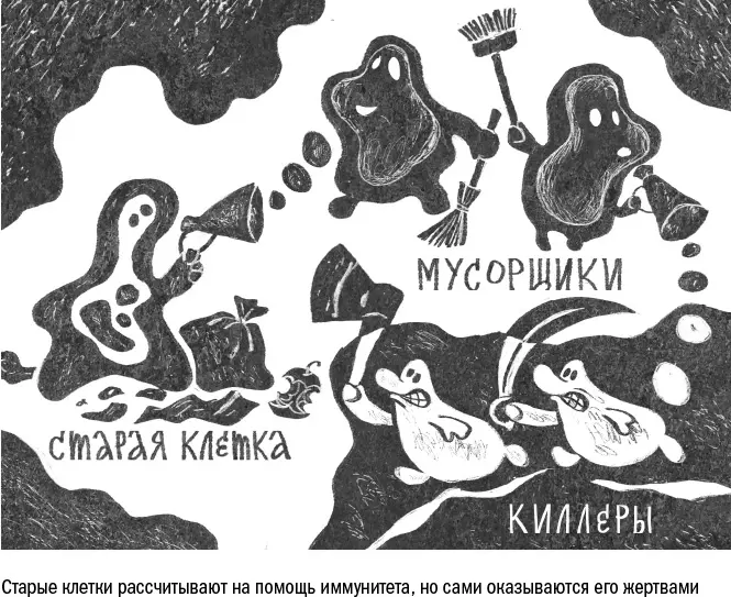 Как выжить на войне До сих пор мы говорили о воспалении как о безусловно - фото 57