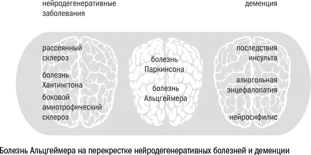 Все эти многочисленные болезни отличаются друг от друга несколькими - фото 69