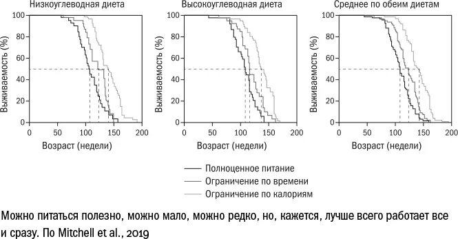 Тем не менее врачи до сих пор не рекомендуют практиковать какиелибо варианты - фото 111