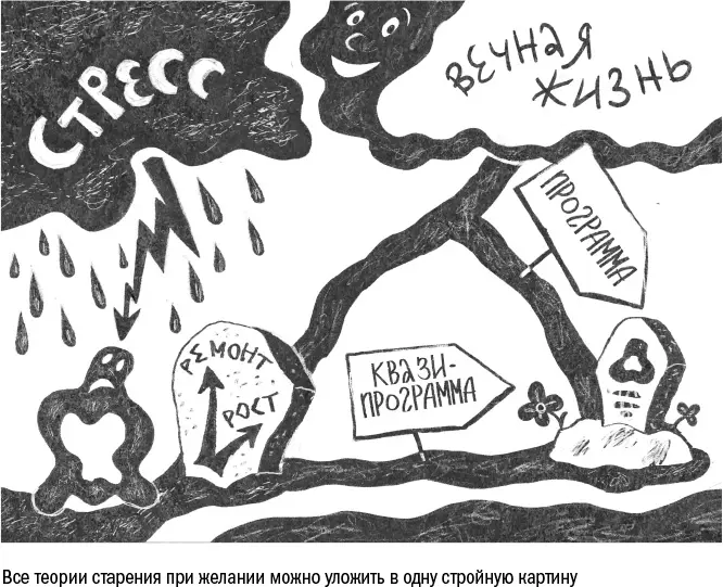 Что делать Как бы меня ни настораживал подход Обри ди Грея кое в чем он все - фото 113