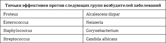 Формы применения тимьяна Чай Одну чайную ложку сухого измельченного тимьяна - фото 6