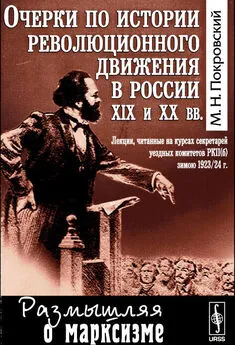 Михаил Покровский - Очерки по истории революционного движения в России XIX и XX вв