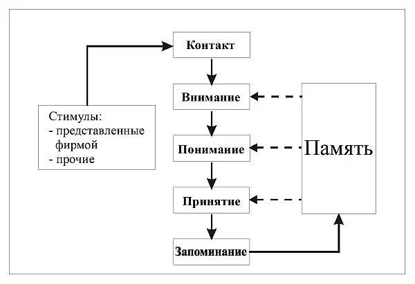 Рис 10 Этапы обработки воспринимаемой информации На основе анализа данной - фото 13