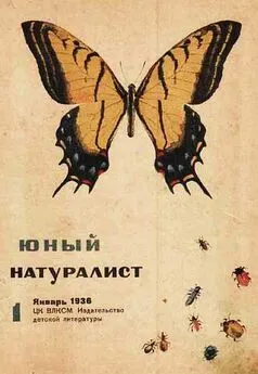 Журнал Юный натуралист №1, 1936