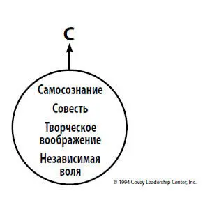 Самосознание это наша способность посмотреть на себя со стороны и изучить - фото 25