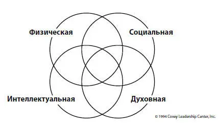 Только посмотрите какая разница Исходя из парадигмы изолированных частей мы - фото 23