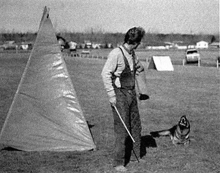Рис 84 После удержания и облаивания в шутцхунде II и III проводник подзывает - фото 89