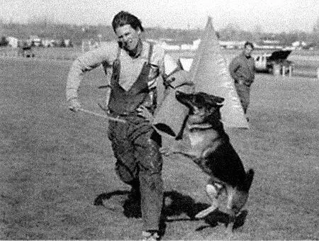 Рис 85 Побег Пока проводник обыскивает укрытие собака бдительно охраняет - фото 90