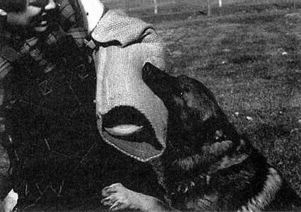 Рис 94 Идеальная хватка полной пастью и жесткая Нико Брендана Матиаса - фото 100