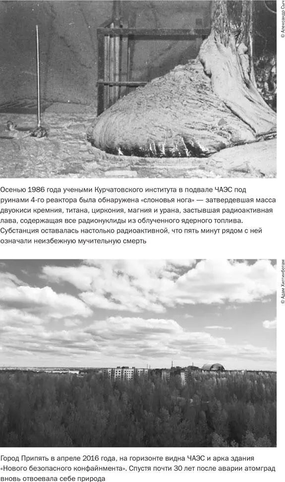 Об авторе АДАМ ХИГГИНБОТАМ британский журналист писатель Работает с - фото 21