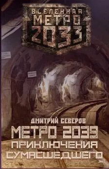 Дмитрий Северов - Метро 2039. Приключения сумасшедшего