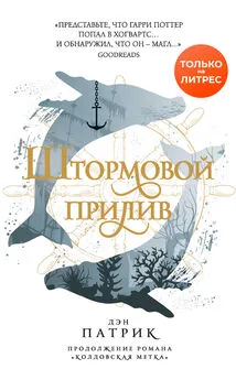 Дэн Патрик - Штормовой прилив [litres]