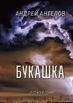 Андрей Ангелов - Букашка. 25 статей гения