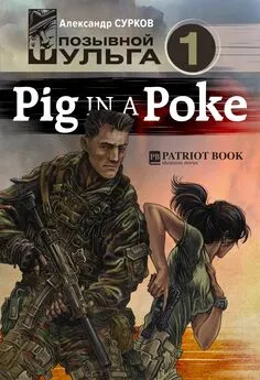 Александр Сурков - Pig In A Poke