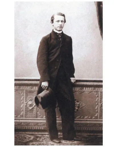 Петербургский онагр Петр Чайковский 1860 г Он посещал и бельгийского - фото 32