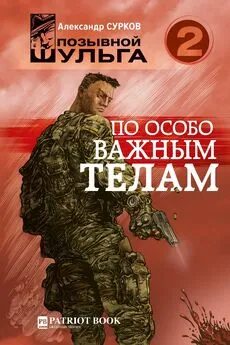 Александр Сурков - По особо важным телам