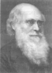 Ч Дарвин родился в Шрусбери Англия в семье врача Роберта Дарвина очень - фото 16