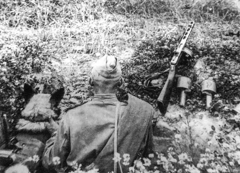 Сторожевая служба Вожатыеразведчики со своими собаками Герой Сове - фото 21