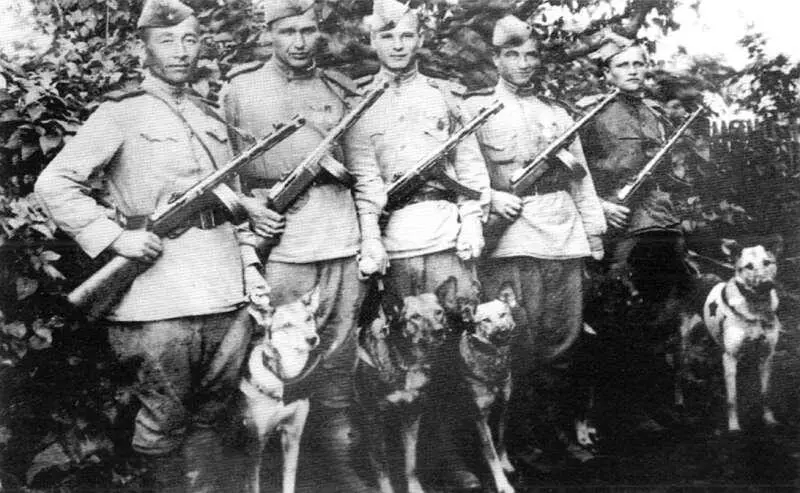 Вожатыеразведчики со своими собаками Герой Советского Союза вожатыйразведчик - фото 22