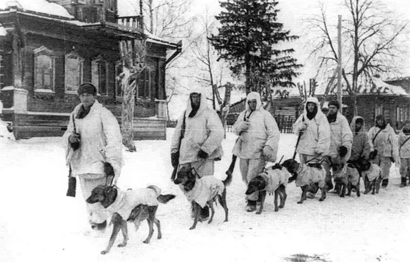 Вожатые с собакамиистребителями танков СИТ под Москвой 1941 год - фото 37