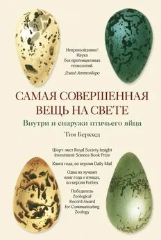 Тим Беркхед - Самая совершенная вещь на свете [Внутри и снаружи птичьего яйца]