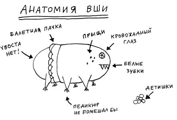 Я продолжала погружение в черную дыру информации Когда вошь голодна голова - фото 13
