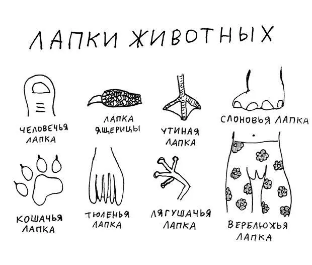 То есть все мы должны ходить с верблюжьими лапками Вопервых я ненавижу - фото 53